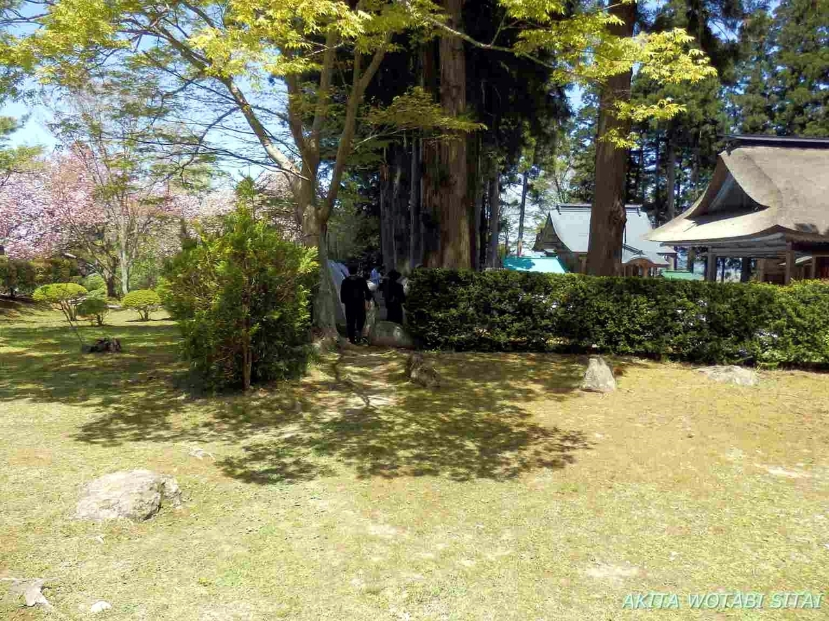 f:id:murabitosonoiti:20190607162217j:plain