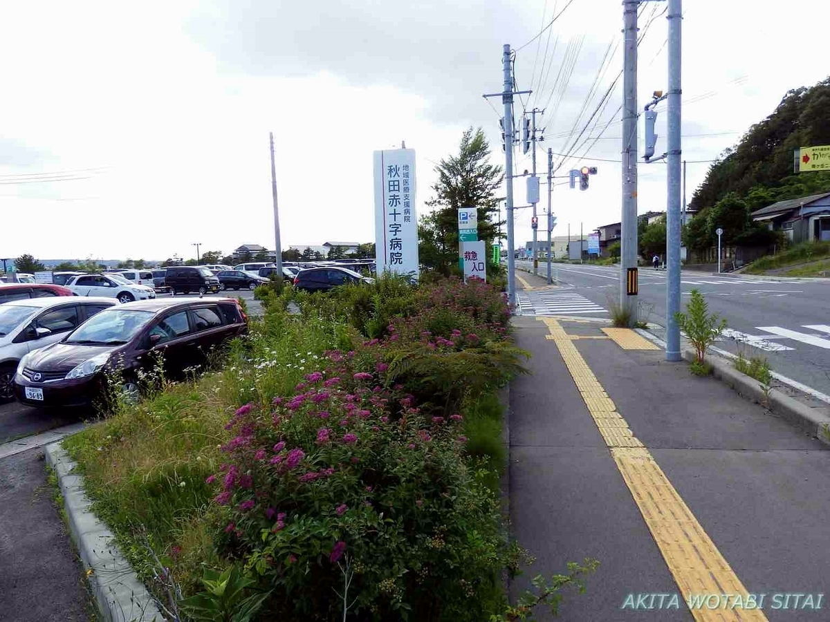 f:id:murabitosonoiti:20190628144610j:plain f:id:murabitosonoiti:20190628144610j:plain
