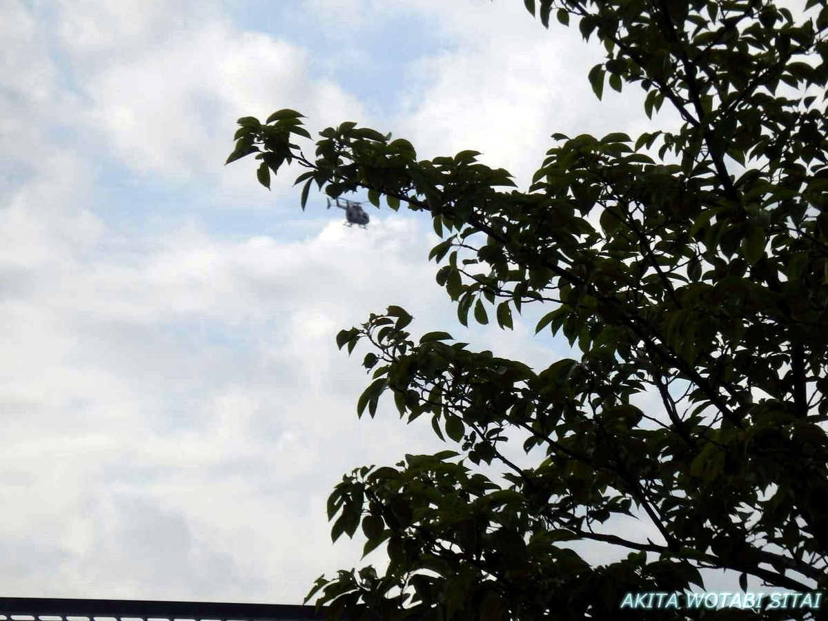 f:id:murabitosonoiti:20190628151147j:plain f:id:murabitosonoiti:20190628151147j:plain