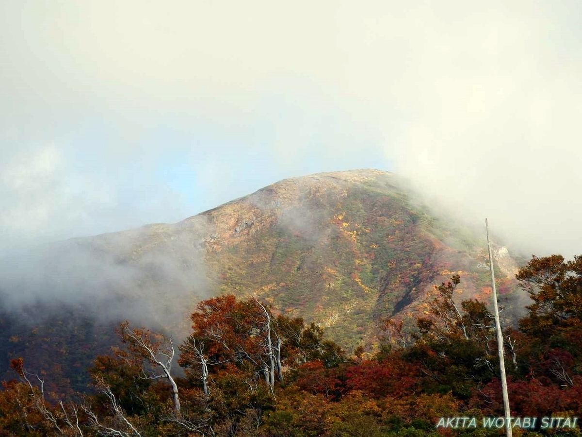f:id:murabitosonoiti:20191018102022j:plain
