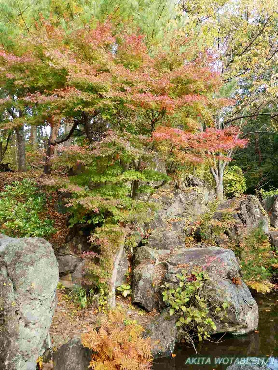 f:id:murabitosonoiti:20191031153137j:plain f:id:murabitosonoiti:20191031153137j:plain