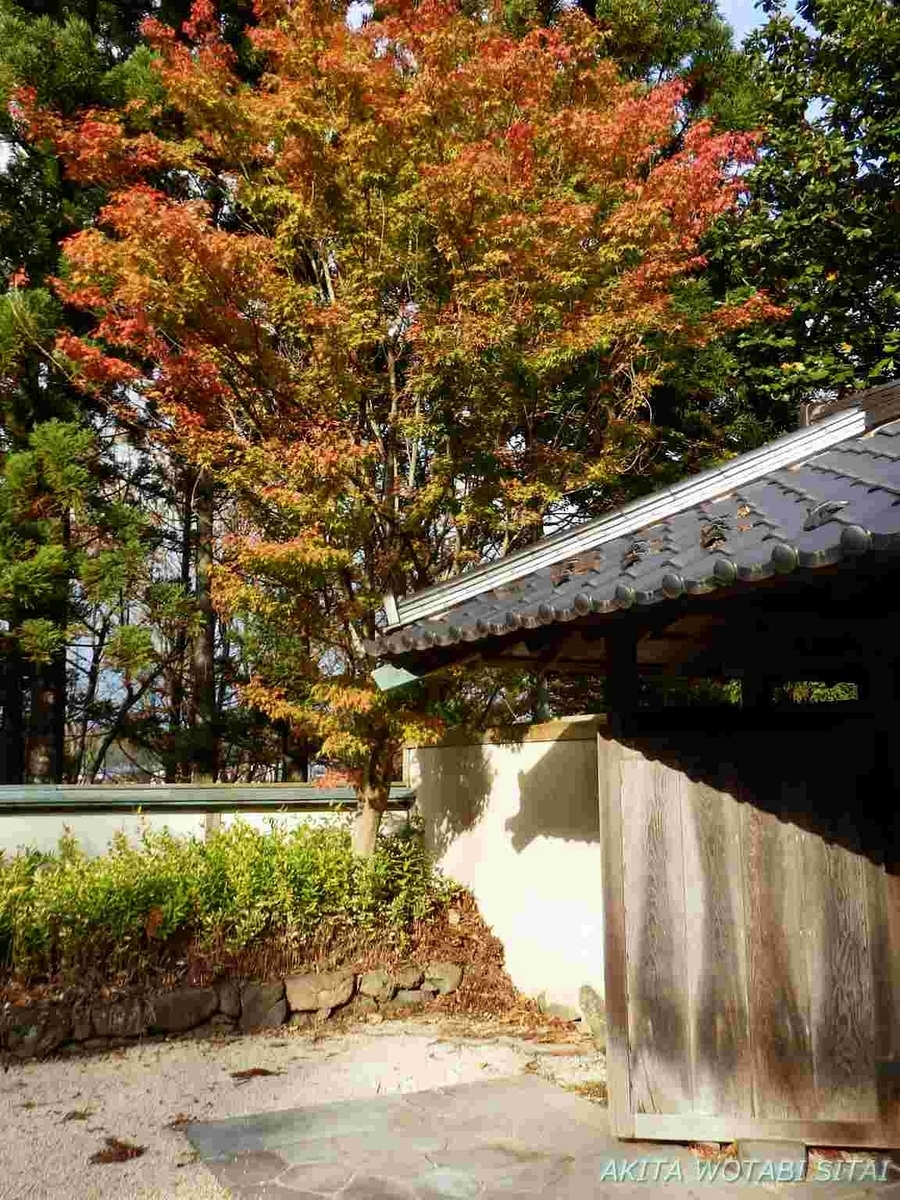 f:id:murabitosonoiti:20191031161349j:plain f:id:murabitosonoiti:20191031161349j:plain