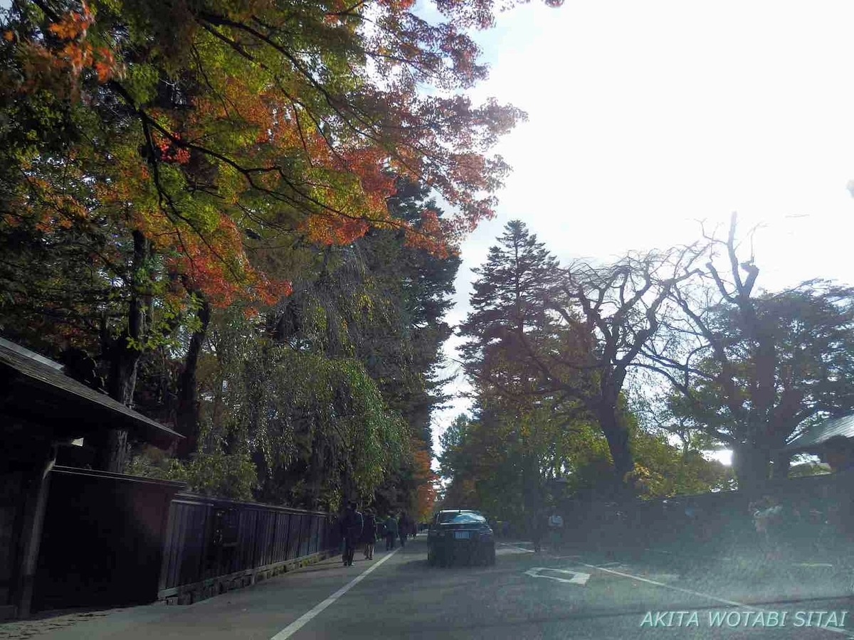 角館武家屋敷 紅葉状況 秋田県仙北市 秋田を旅したい 角館武家屋敷 紅葉状況 秋田県仙北市 秋田を旅したい