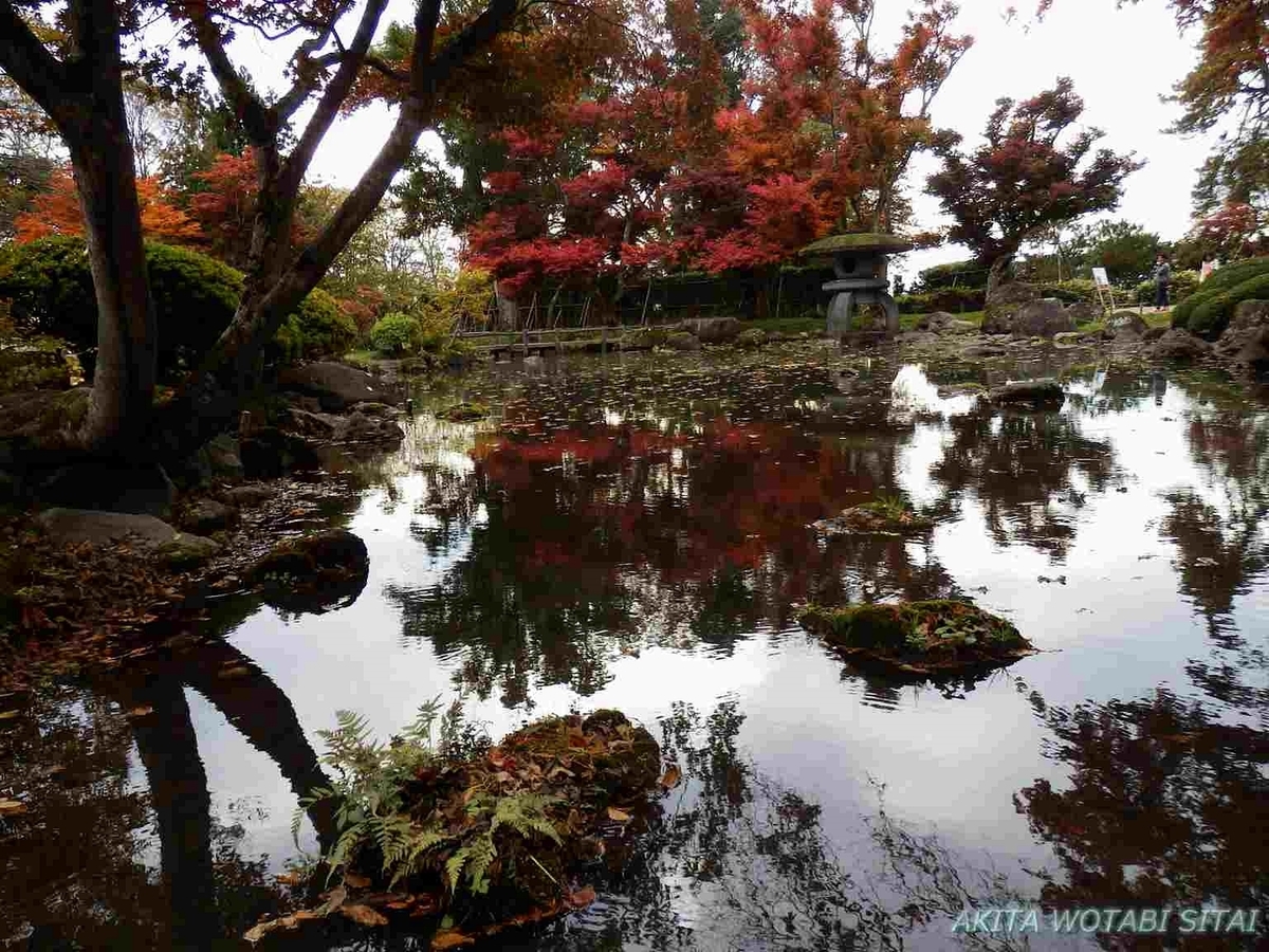 f:id:murabitosonoiti:20191122163300j:plain f:id:murabitosonoiti:20191122163300j:plain