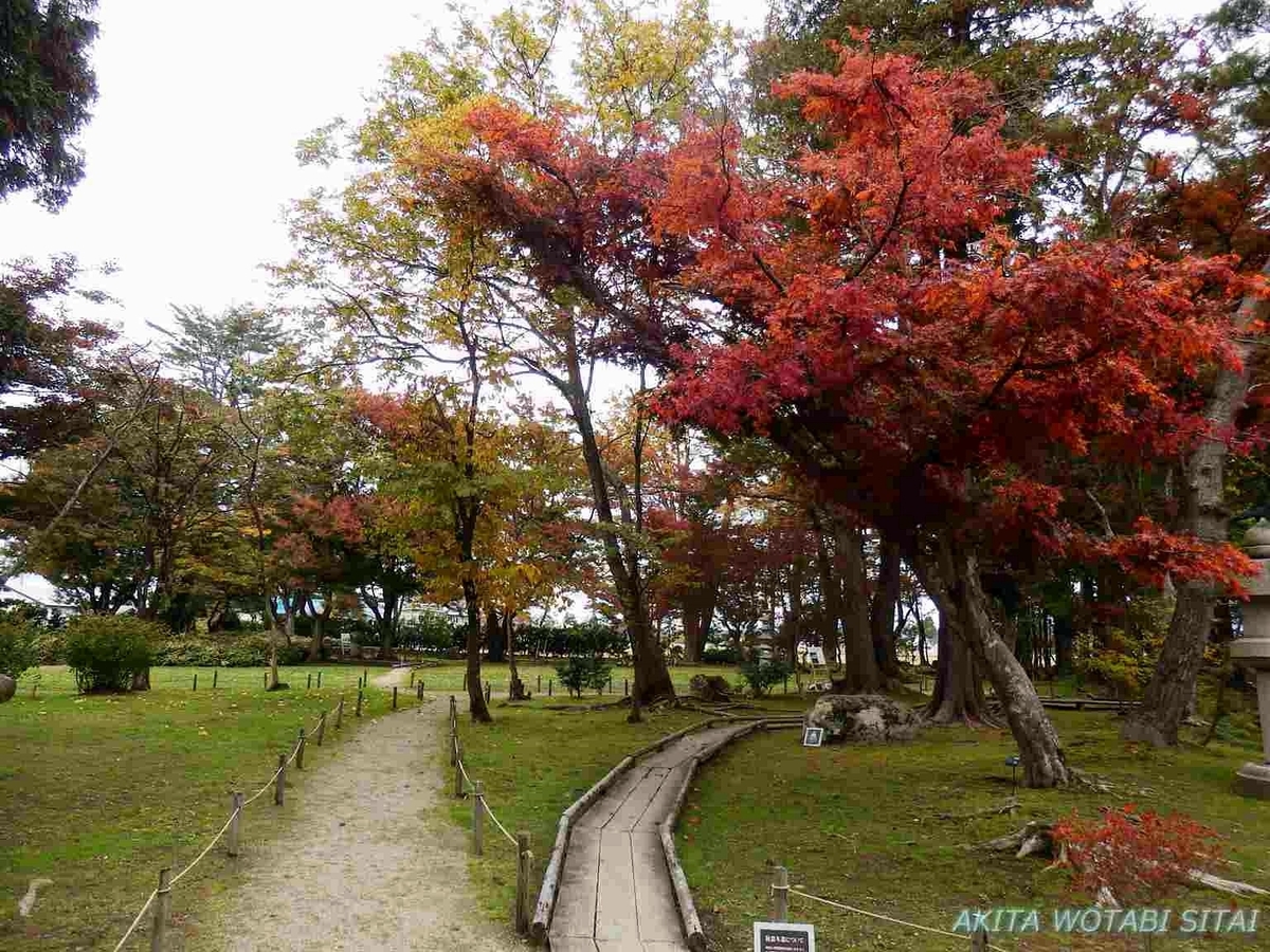 f:id:murabitosonoiti:20191122163726j:plain f:id:murabitosonoiti:20191122163726j:plain