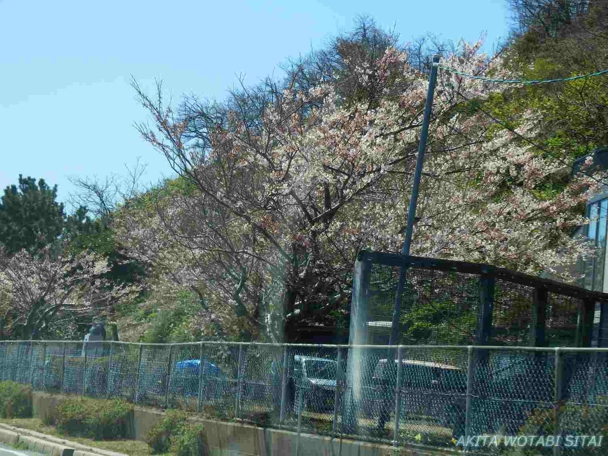 f:id:murabitosonoiti:20200424100245j:plain f:id:murabitosonoiti:20200424100245j:plain