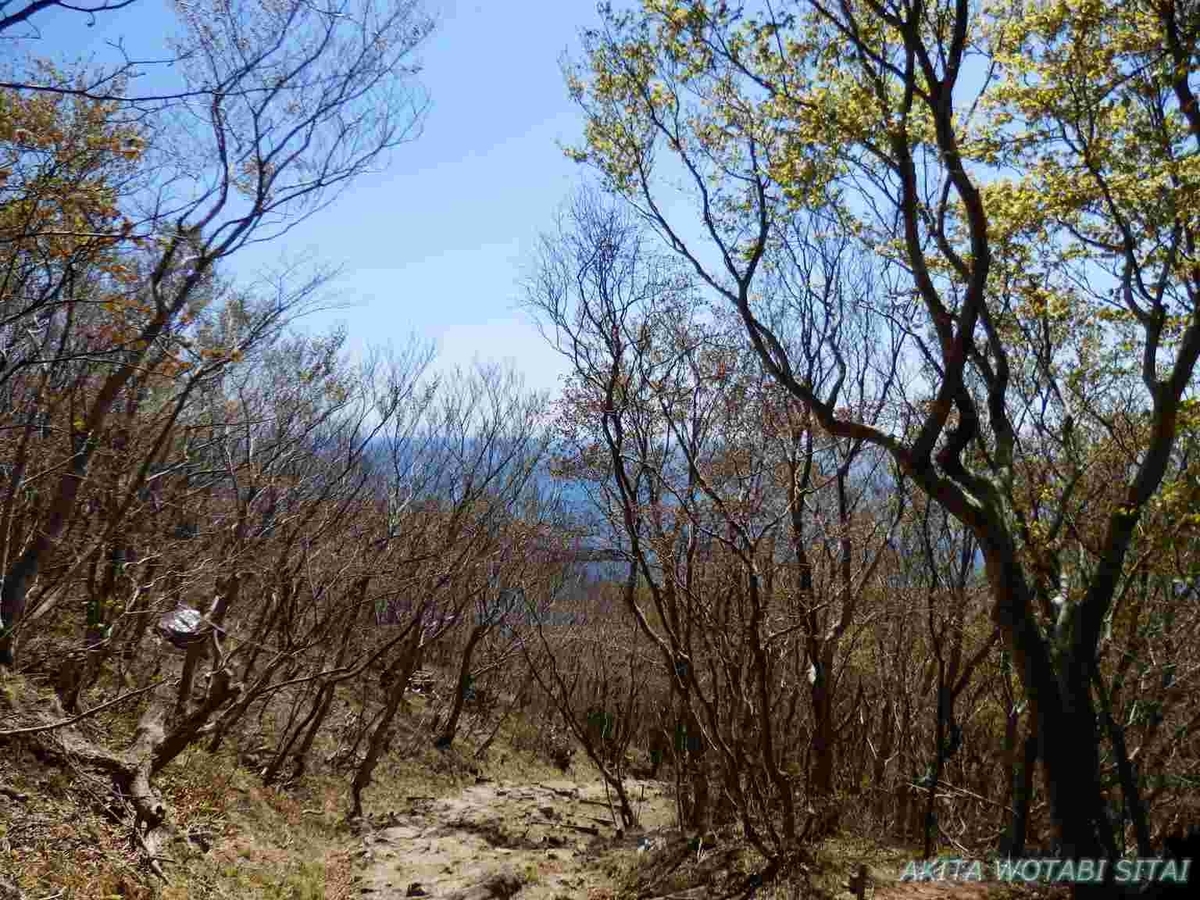 f:id:murabitosonoiti:20200430112950j:plain