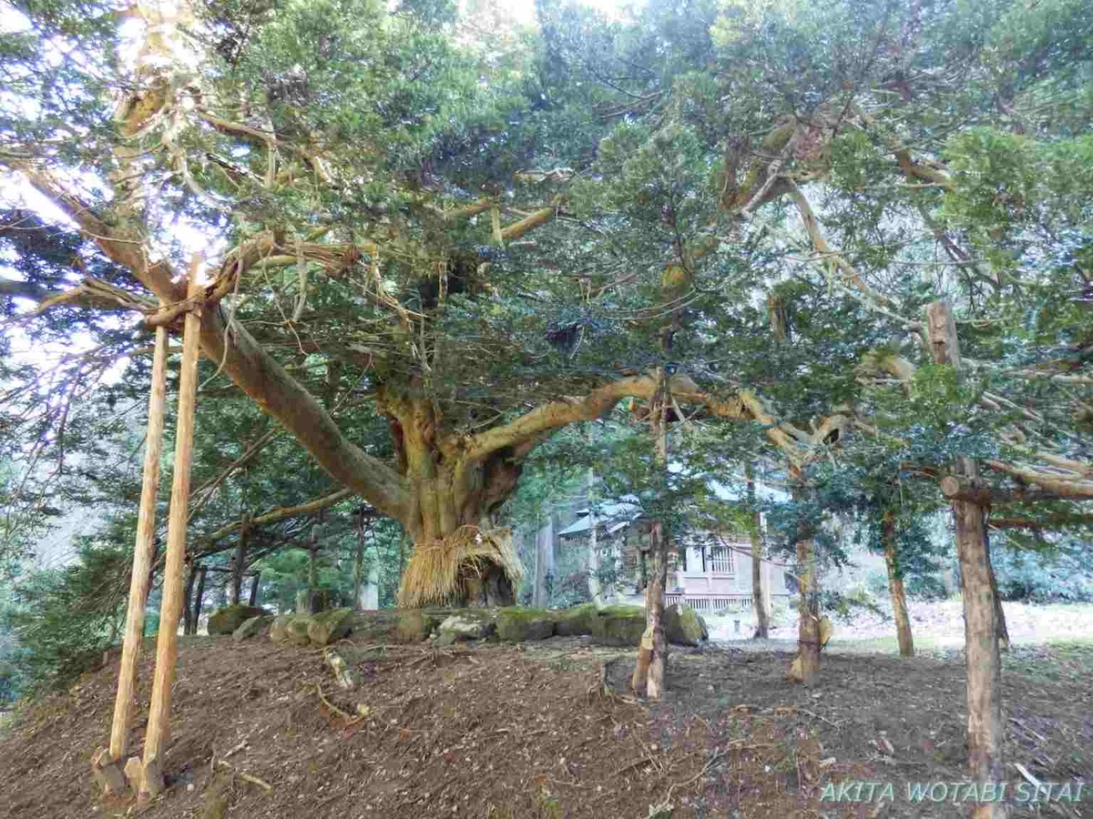 f:id:murabitosonoiti:20200522011447j:plain f:id:murabitosonoiti:20200522011447j:plain