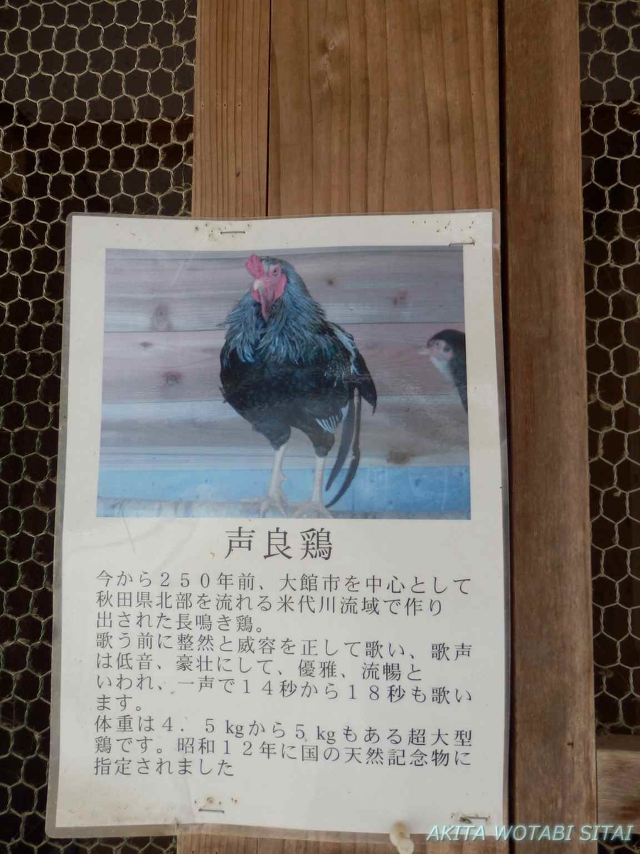 f:id:murabitosonoiti:20200716222732j:plain