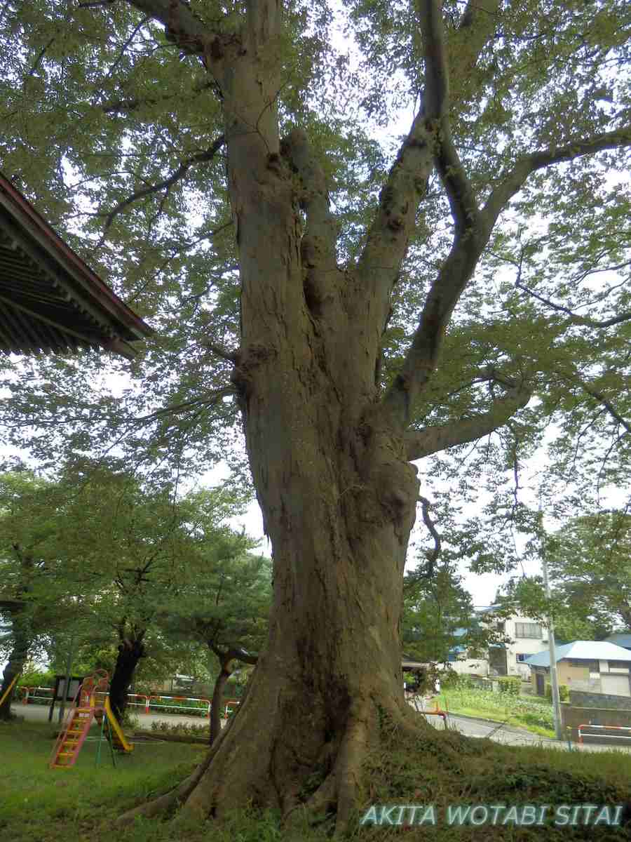 f:id:murabitosonoiti:20200910224616j:plain f:id:murabitosonoiti:20200910224616j:plain