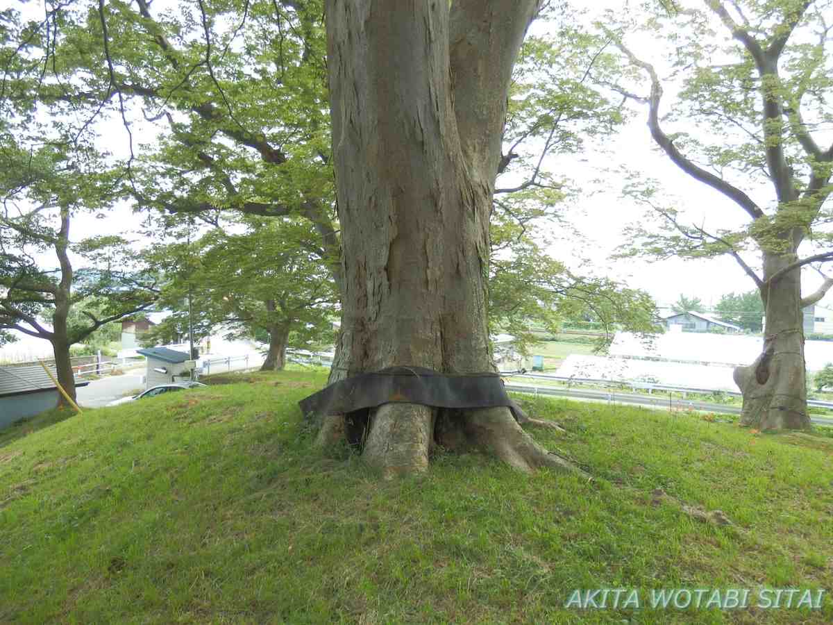 f:id:murabitosonoiti:20200910224650j:plain f:id:murabitosonoiti:20200910224650j:plain