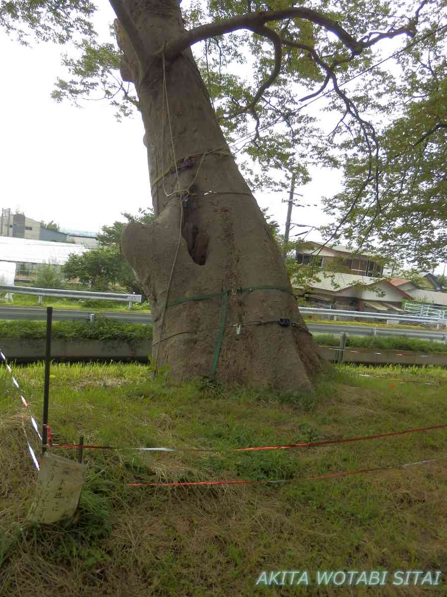 f:id:murabitosonoiti:20200910224800j:plain f:id:murabitosonoiti:20200910224800j:plain