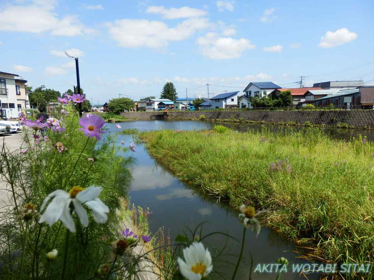 f:id:murabitosonoiti:20201014225432j:plain