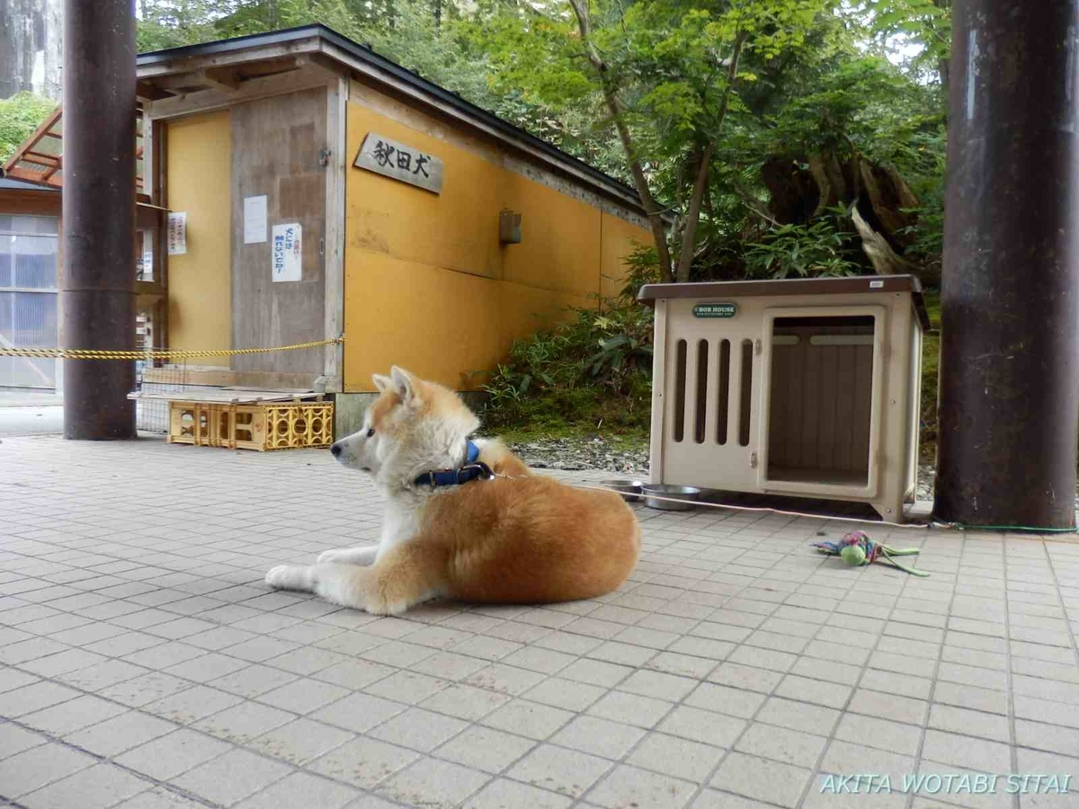 f:id:murabitosonoiti:20201029210855j:plain