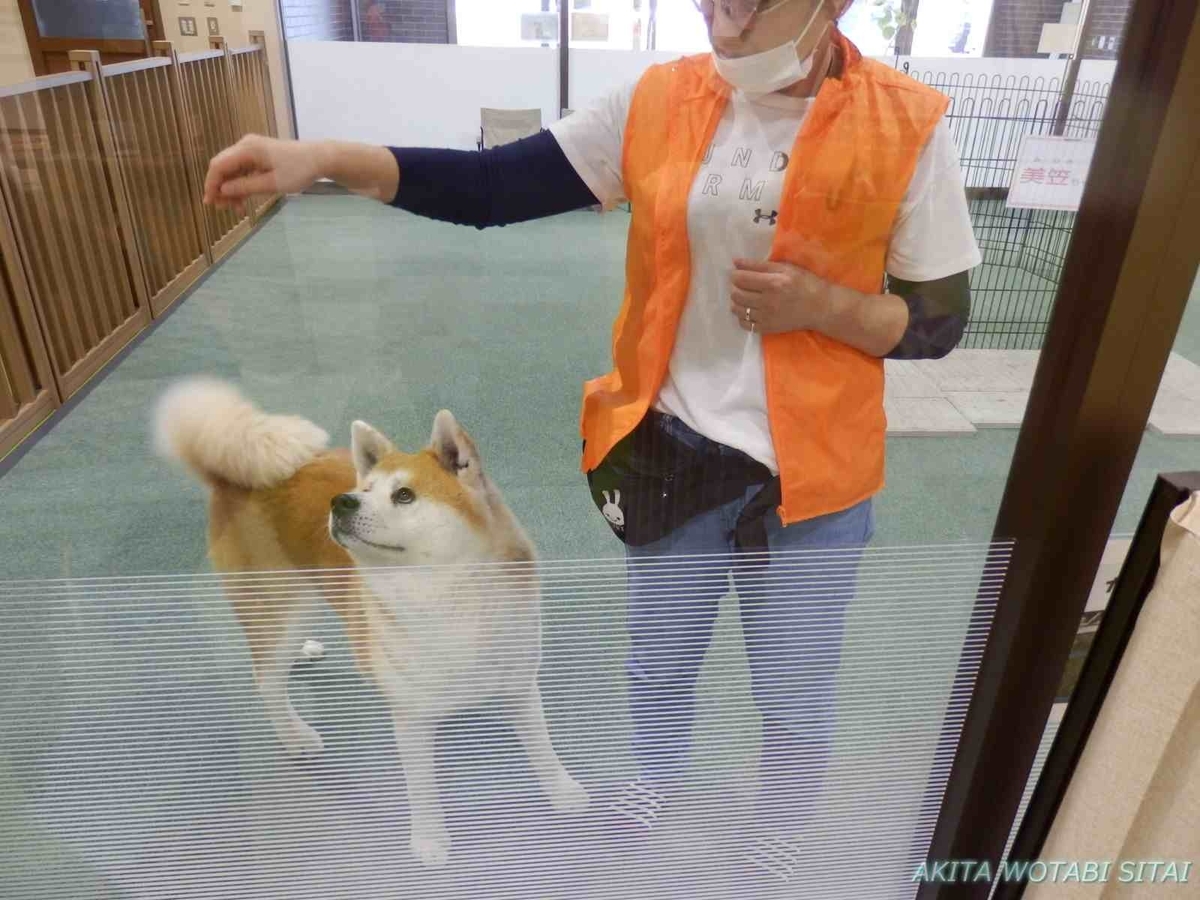 f:id:murabitosonoiti:20201125212252j:plain