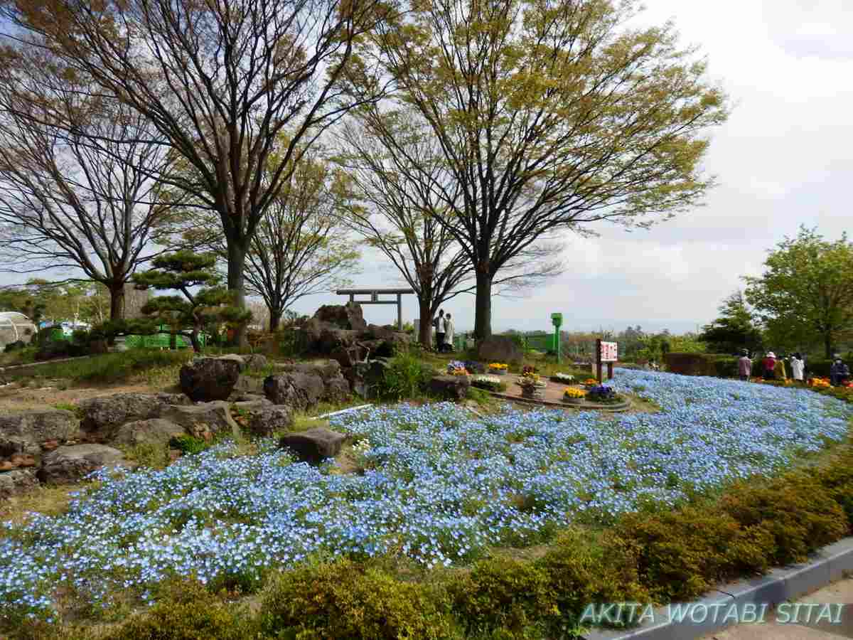 f:id:murabitosonoiti:20210512101939j:plain