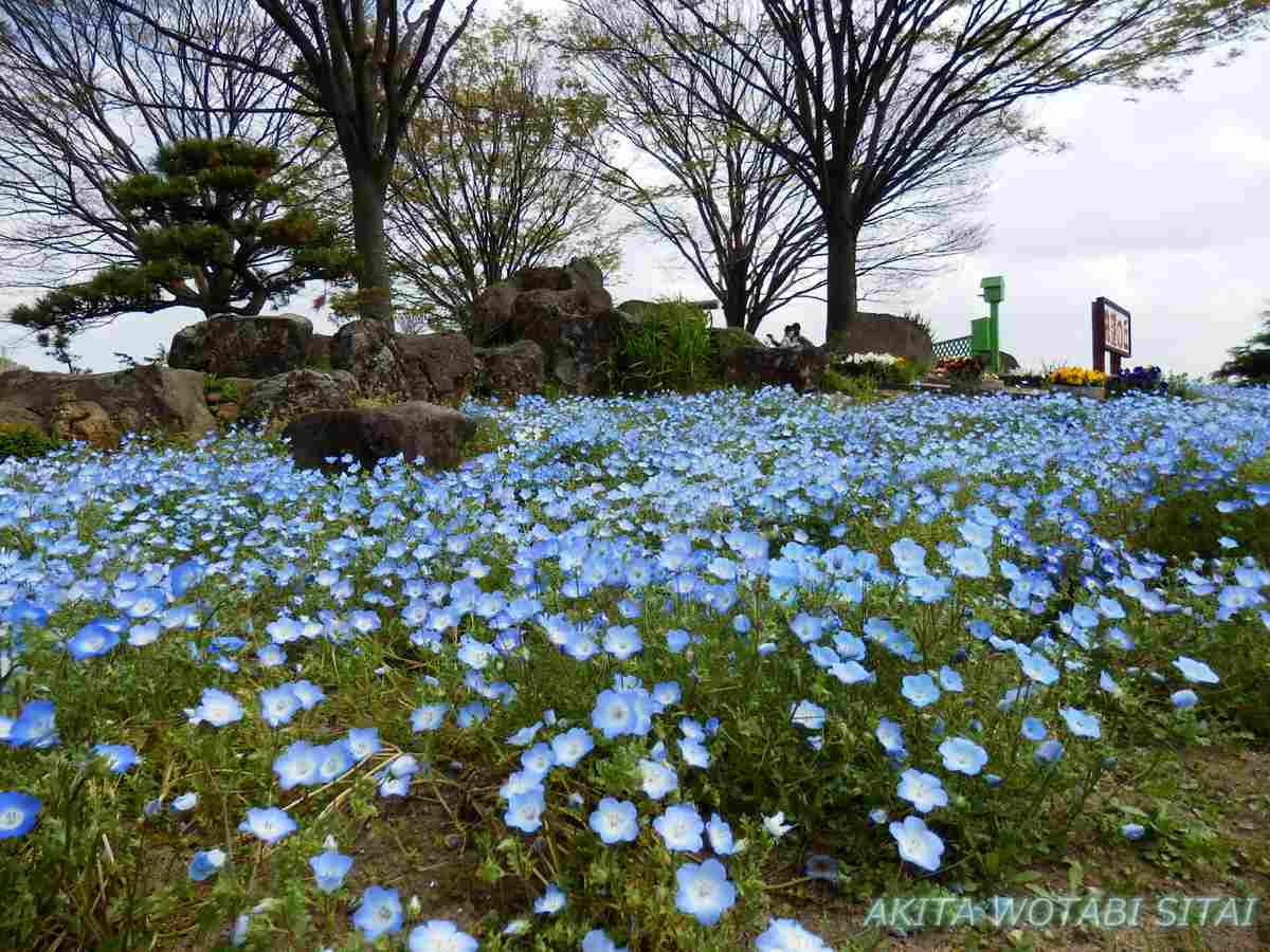 f:id:murabitosonoiti:20210512101945j:plain