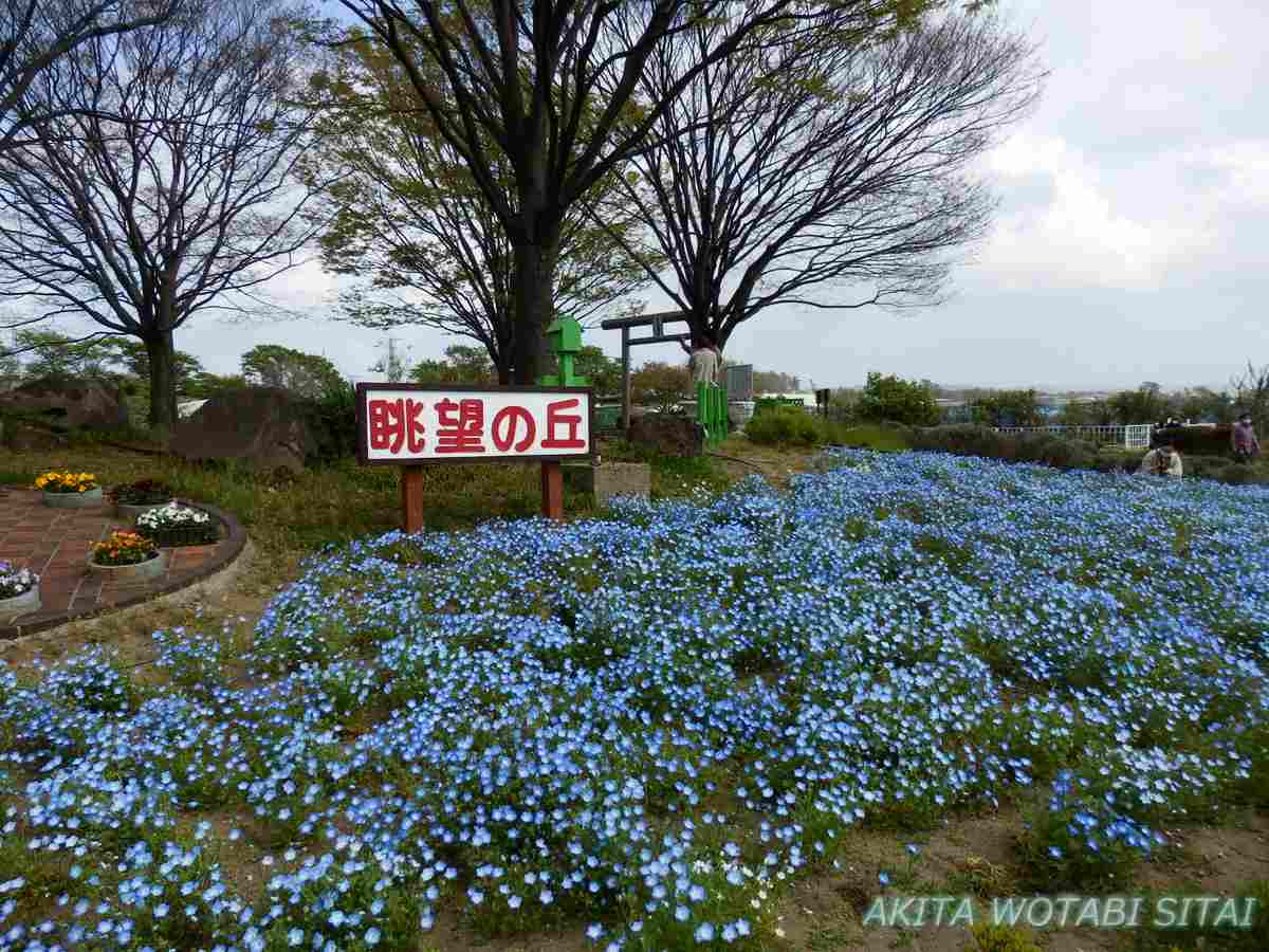 f:id:murabitosonoiti:20210512101953j:plain