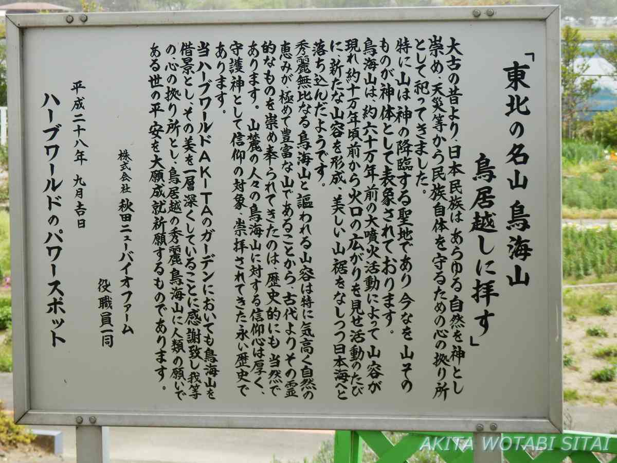 f:id:murabitosonoiti:20210512102222j:plain