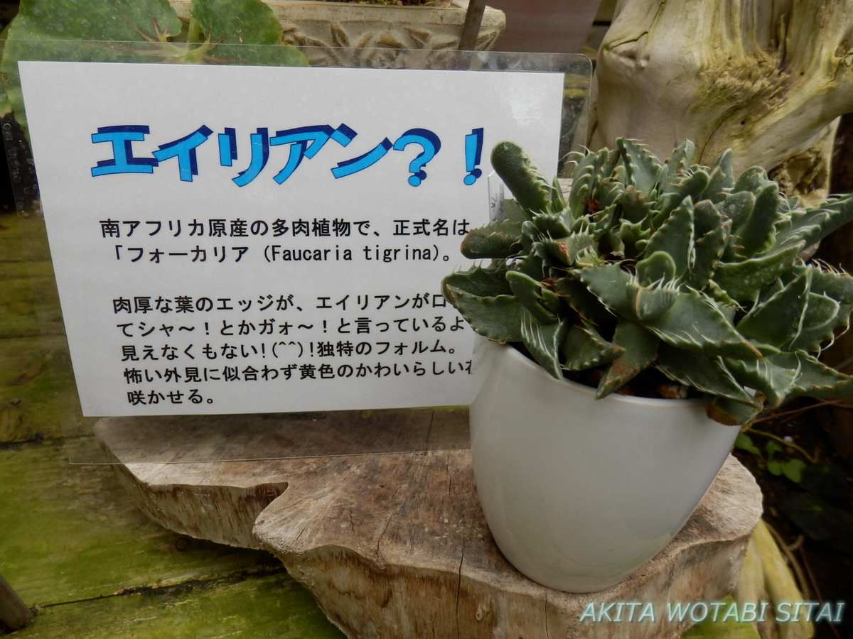 f:id:murabitosonoiti:20210519132328j:plain