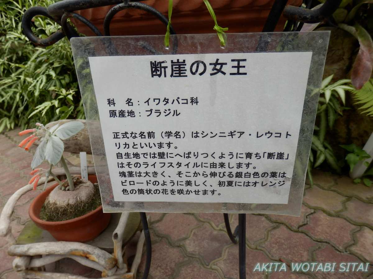 f:id:murabitosonoiti:20210519132530j:plain