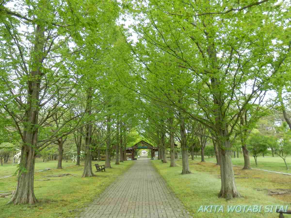 生態系公園 野外公園 秋田県大潟村 秋田を旅したい