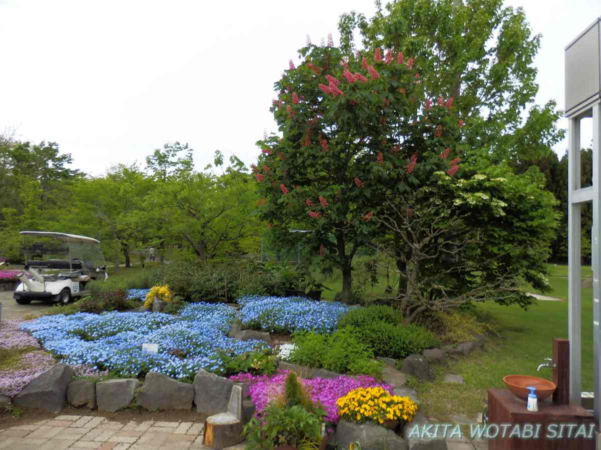 f:id:murabitosonoiti:20210526092818j:plain