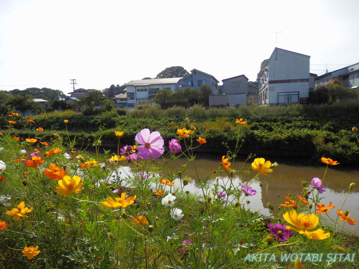f:id:murabitosonoiti:20210915233107j:plain