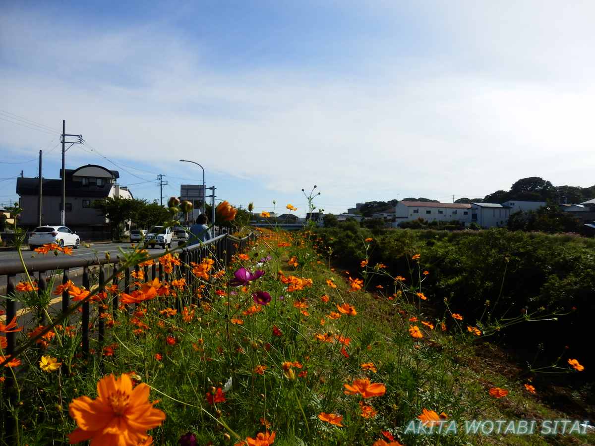 f:id:murabitosonoiti:20210915233226j:plain