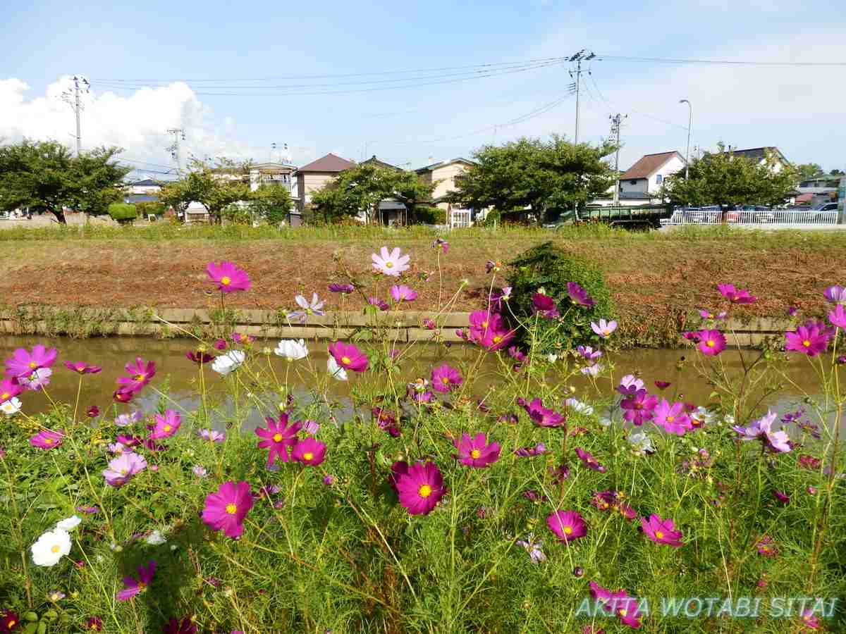 f:id:murabitosonoiti:20210915233348j:plain
