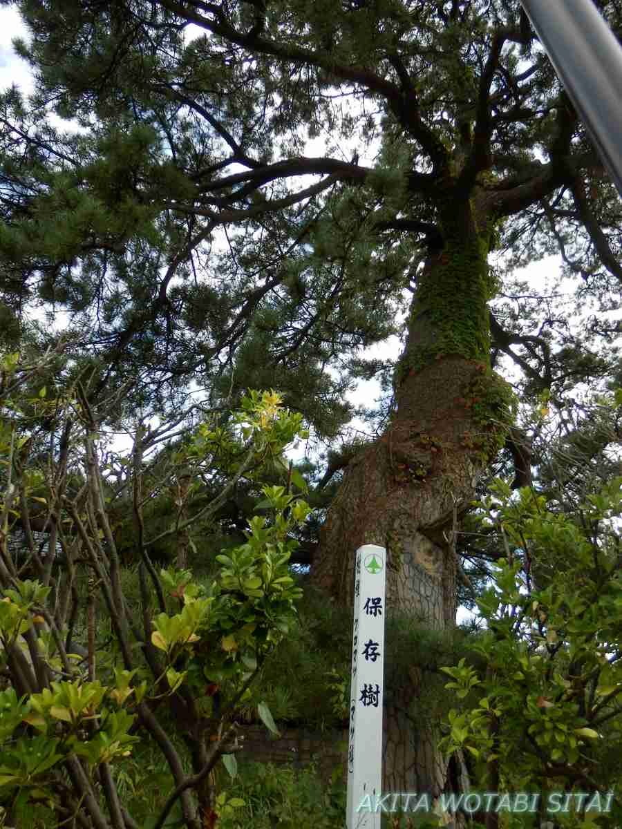f:id:murabitosonoiti:20211013220029j:plain