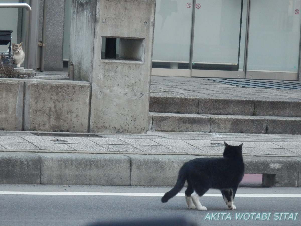 f:id:murabitosonoiti:20220406105154j:plain