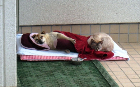 f:id:muragiri:20120609155358j:image