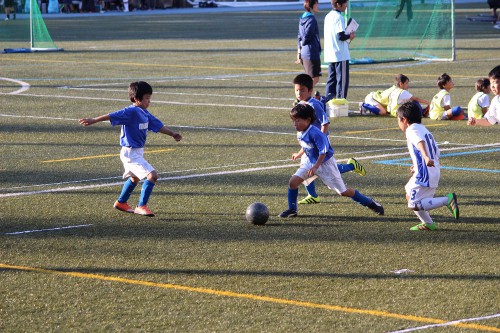 img_1705-%e3%82%b3%e3%83%94%e3%83%bc