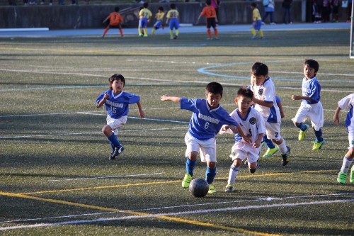 img_1685-%e3%82%b3%e3%83%94%e3%83%bc