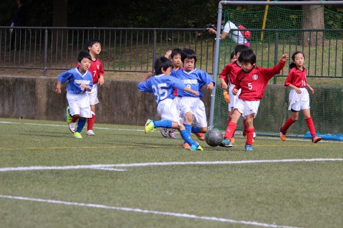 img_1556-%e3%82%b3%e3%83%94%e3%83%bc