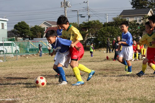 IMG_1865 - コピー