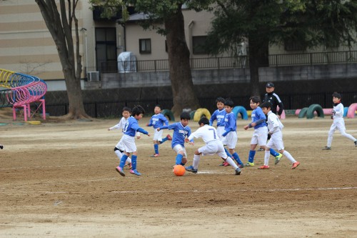 IMG_2553 - コピー