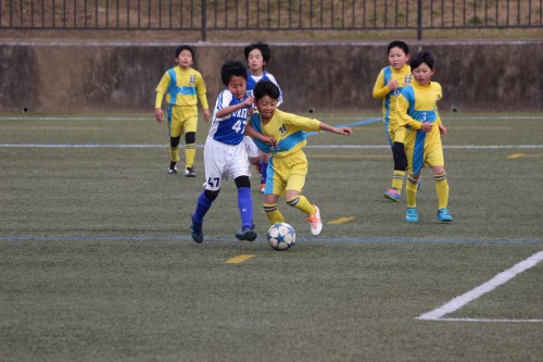 IMG_8431 - コピー