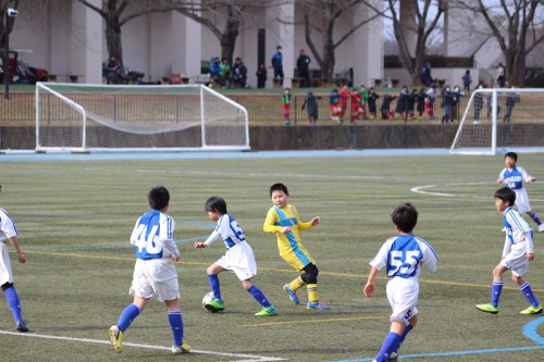 IMG_8413 - コピー