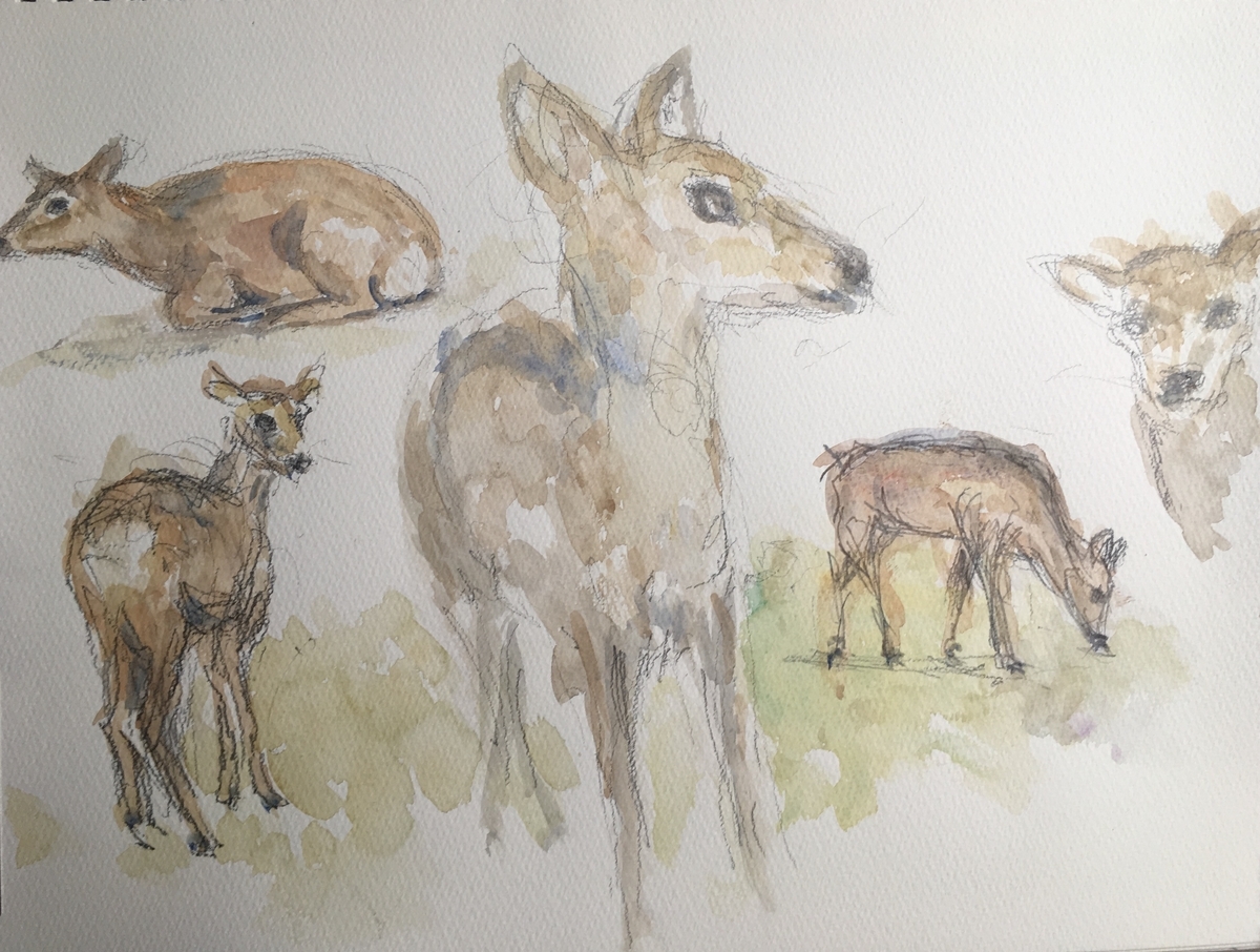鹿の親子〜原画オリジナル一点物〜 鹿の親子〜原画オリジナル一点物〜 鹿の親子〜原画オリジナル一点物〜