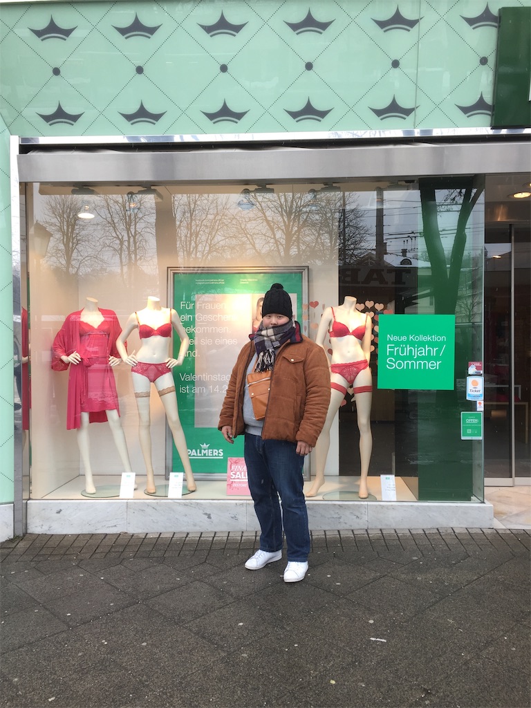 f:id:murakistar:20190216000925j:image