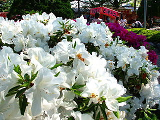 f:id:murakoujin:20060426032546j:image