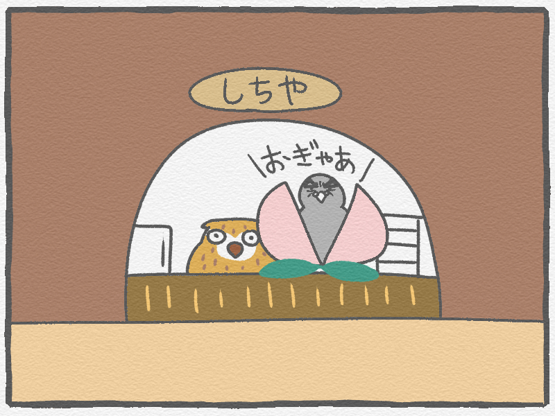 f:id:murakoyome:20210212220024j:plain