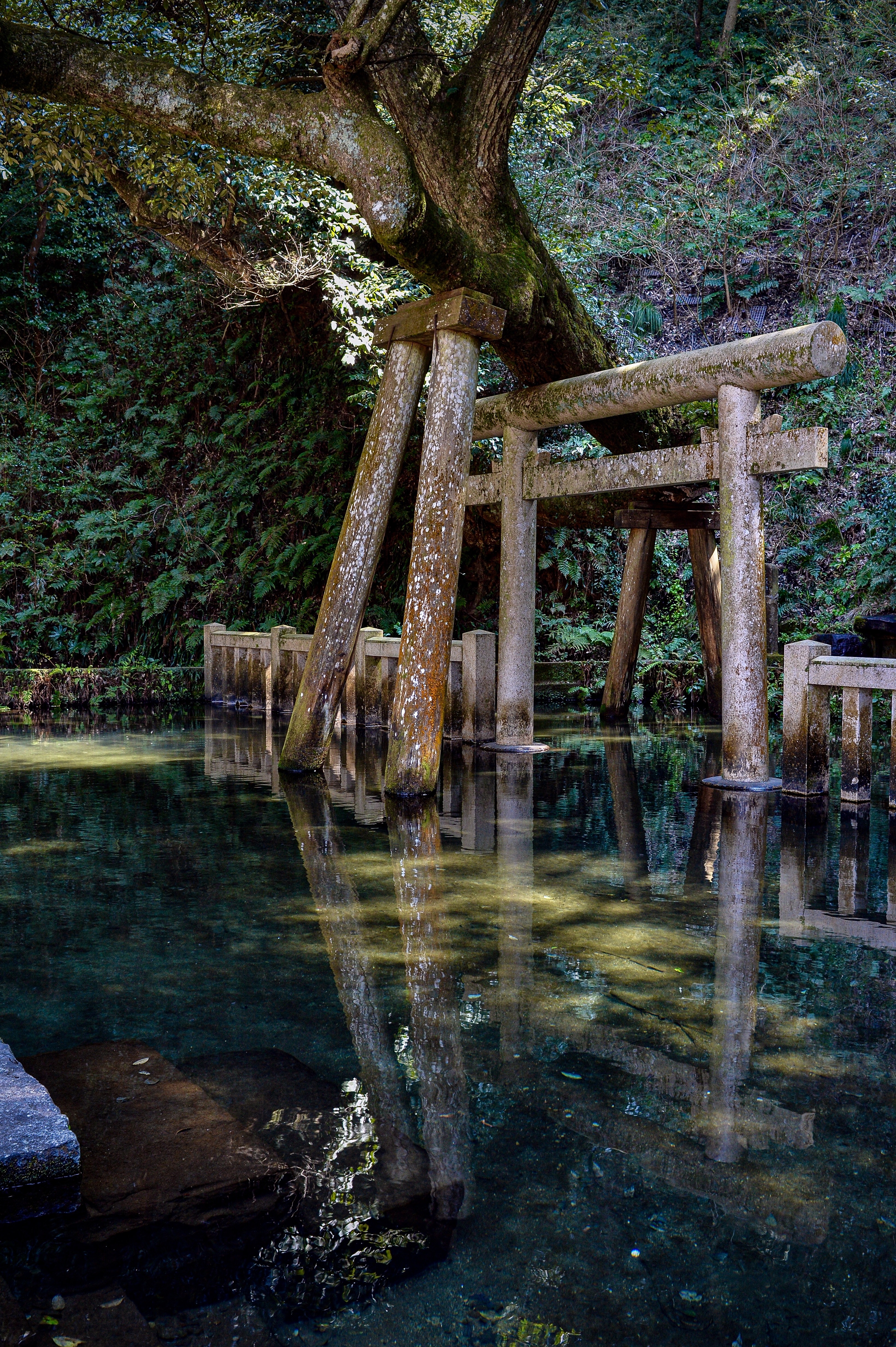 NikonDf ＋ NIKKOR-S Auto 50mm F1.4作例集 - 独眼流正宗