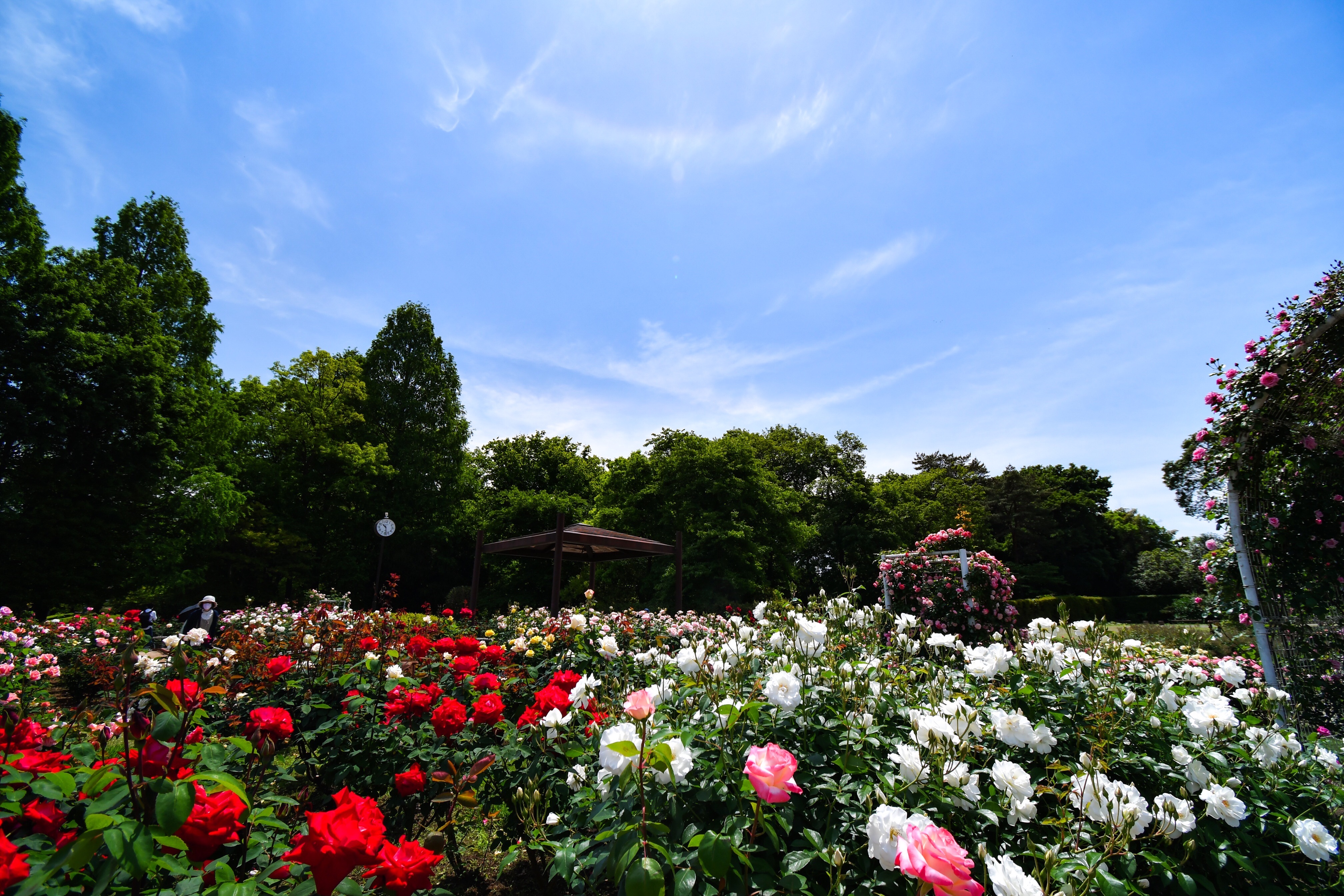 f:id:muramasachang:20220512133020j:image