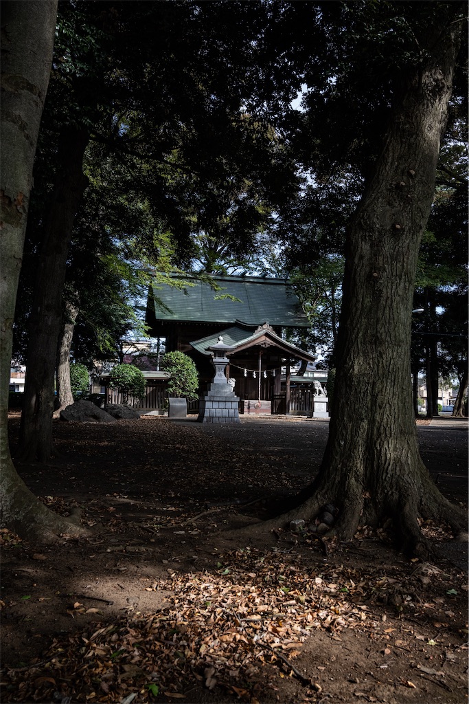 11月の旅とZ24-70mm F4Sの拙い作例集。 - 独眼流正宗