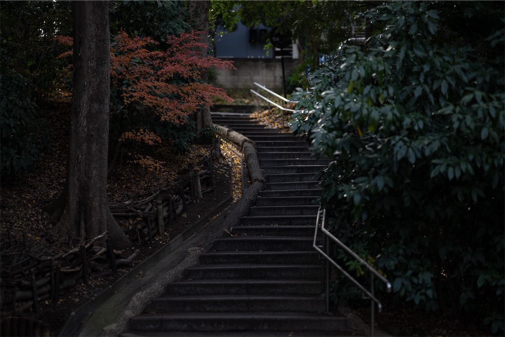 f:id:muramasachang:20251224003307j:image