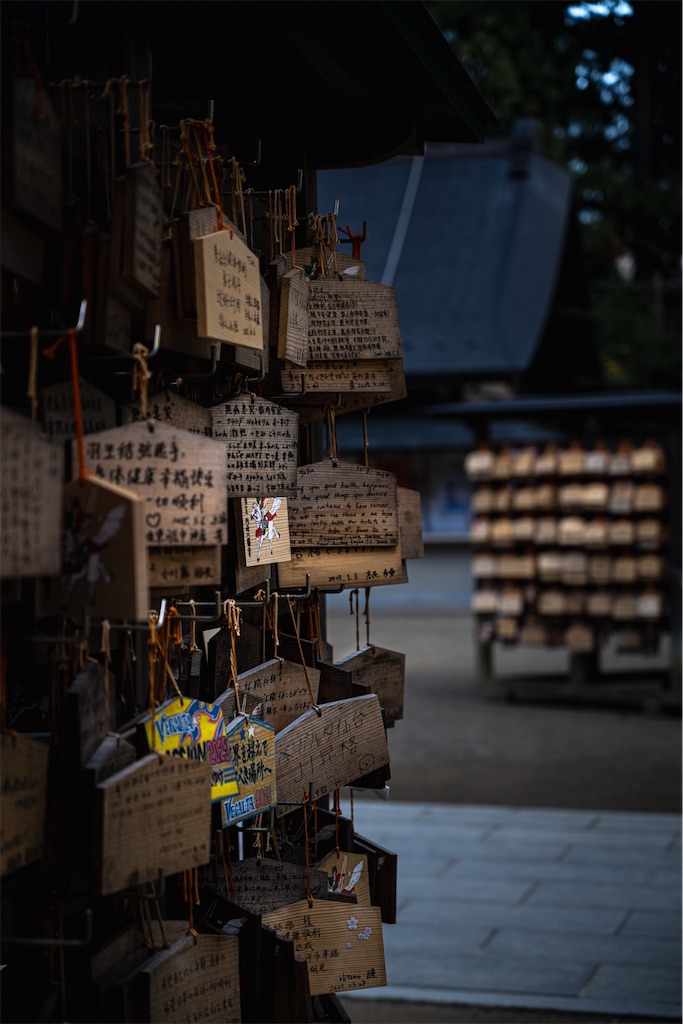 f:id:muramasachang:20251230120241j:image f:id:muramasachang:20251230120241j:image
