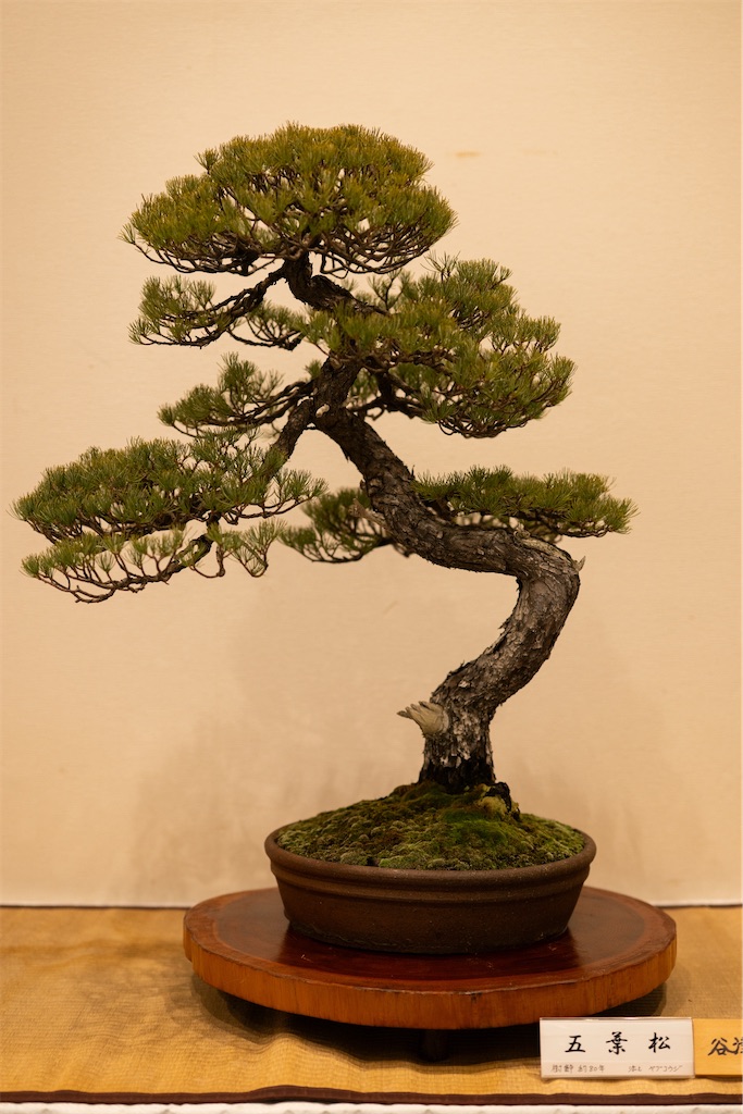 f:id:muramasachang:20260122222954j:image f:id:muramasachang:20260122222954j:image